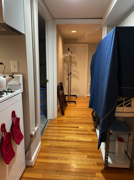 Hall that leads to bathroom and storage shelves on right (beyond is extra hanging area and luggage rack on left).